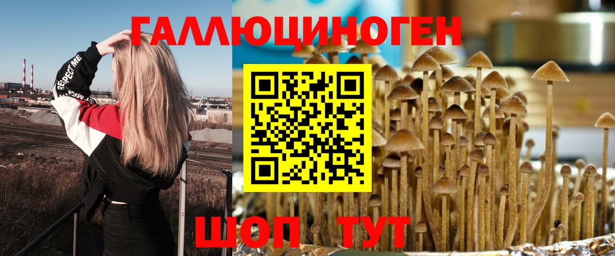 Псилоцибиновые грибы Magic Shrooms Надым